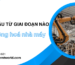 Tự động hoá trong nhà máy nên bắt đầu từ công đoạn nào để hiệu quả nhất?